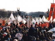 mfl06b