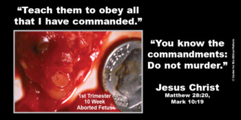 All That I Have Commanded