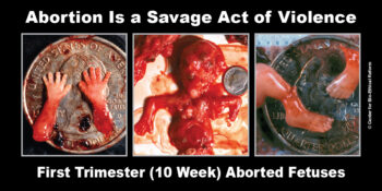 Savage Act of Violence